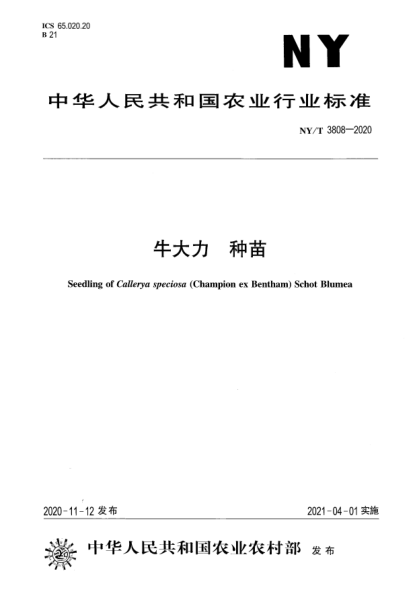 NY/T 3808-2020牛大力 種苗