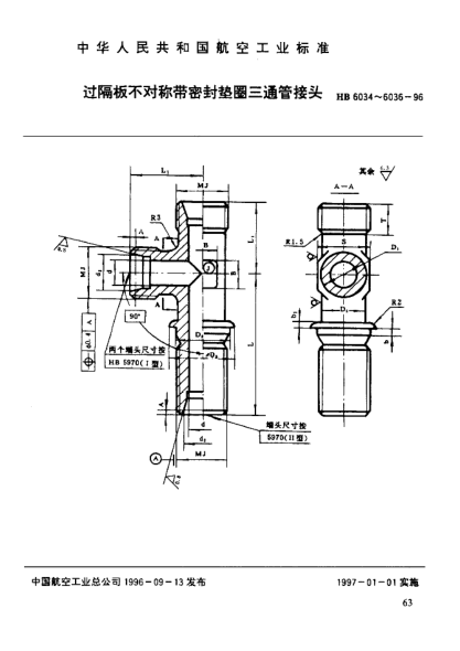 HB 6035-1996過隔板不對稱帶密封墊圈三通管接頭