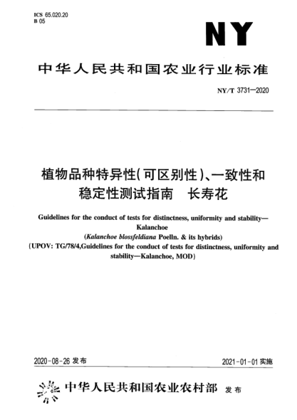NY/T 3731-2020植物品種特異性（可區(qū)別性）、一致性和穩(wěn)定性測(cè)試指南 長(zhǎng)壽花