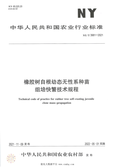  NY/T 3981-2021 橡膠樹(shù)自根幼態(tài)無(wú)性系種苗組培快繁技術(shù)規(guī)程