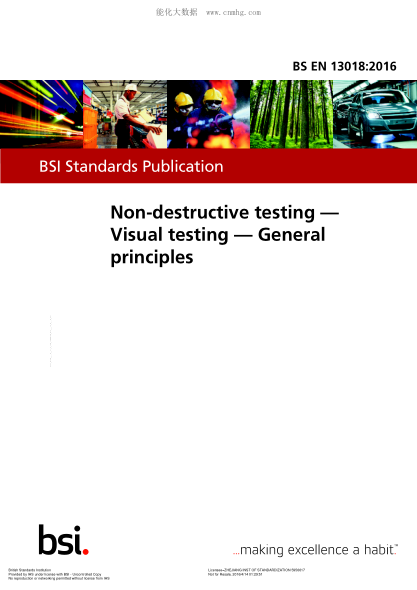 BS EN 13018-2016 無損試驗 視覺試驗 一般原理 Non-destructive testing. Visual testing. General principles