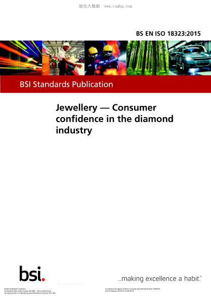 BS EN ISO 18323-2015 首飾 鉆石行業(yè)消費(fèi)者信心指數(shù) Jewellery. Consumer confidence in the diamond industry