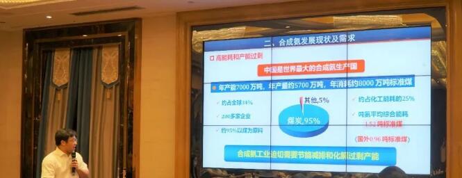 “鐵釕接力催化”氨合成技術(shù)通過科技成果鑒定