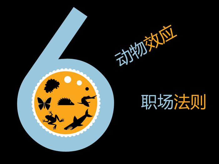 培訓(xùn)師的6“效應(yīng)”ppt