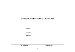 安全生產(chǎn)標(biāo)準(zhǔn)化文件匯編doc