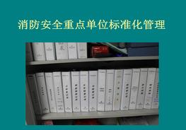 20190527重點單位消防安全標準化臺賬管理檔案ppt