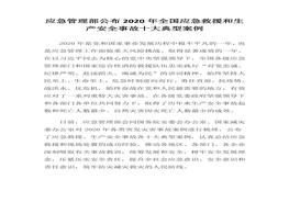 20年全國(guó)應(yīng)急救援和生產(chǎn)安全事故十大典型案例(1)docx