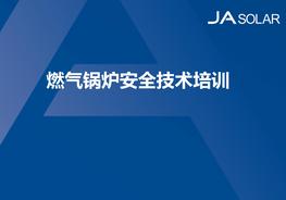 20180815燃?xì)忮仩t安全技術(shù)培訓(xùn)pptx