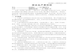 責(zé)任書(1)docx