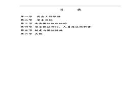 項目投產(chǎn)安全保證體系doc