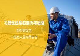 習(xí)慣性違章的剖析與治理ppt