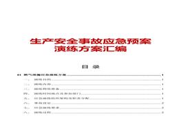 ~應(yīng)急預(yù)案演練方案匯編docx