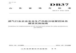 DB 37T 3153—2018燃?xì)庑袠I(yè)企業(yè)安全生產(chǎn)風(fēng)險分級管控體系建設(shè)實施指南doc