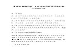 目部企業(yè)安全生產(chǎn)費用管理辦法(1)docx