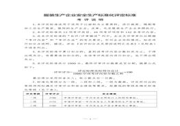 服裝生產(chǎn)企業(yè)安全生產(chǎn)標(biāo)準(zhǔn)化評定標(biāo)準(zhǔn)doc