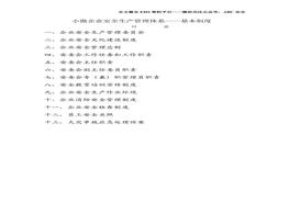 小微企業(yè)安全生產(chǎn)管理制度2doc