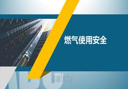 W20210527~燃?xì)馐褂冒踩玴ptx