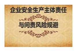 _企業(yè)安全生產(chǎn)責(zé)任和問(wèn)責(zé)風(fēng)險(xiǎn)規(guī)避pptx