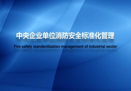N20210617~中央企業(yè)單位消防安全標準化管理pptx