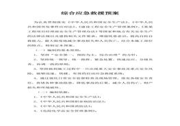 綜合應(yīng)急救援預(yù)案(2)docx