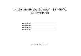 工貿企業(yè)安全標準化自評報告doc