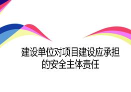 建設(shè)單位對(duì)項(xiàng)目建設(shè)應(yīng)承擔(dān)的安全主體責(zé)任pptx