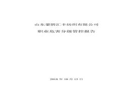 職業(yè)病危害風(fēng)險(xiǎn)分級(jí)報(bào)告(2)doc