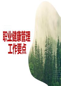 職業(yè)健康管理工作要點（29頁）pptx