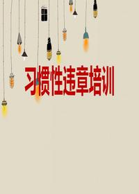 習(xí)慣性違章培訓(xùn)（40頁）pptx