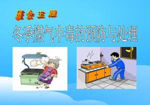 冬季煤氣中毒的預(yù)防與處理PPTpptx