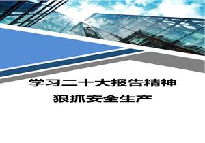 安全生產(chǎn)學習二十大報告精神心得體會docx