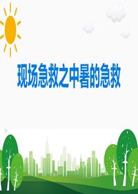 現(xiàn)場急救中暑的急救丨33頁ppt