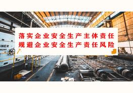 如何規(guī)避企業(yè)安全生產(chǎn)責(zé)任風(fēng)險（102頁）pptx