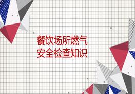 餐飲場所燃?xì)獍踩珯z查知識pptx