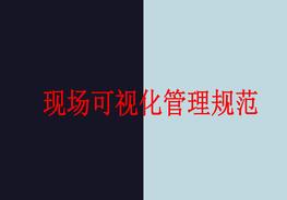 現(xiàn)場可視化管理規(guī)范pptx
