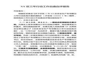 安全生產(chǎn)專項整治三年行動工作自查自評報告docx