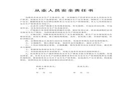 從業(yè)人員責(zé)任書 （班組長與成員簽）(3)doc