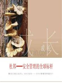 杜邦安全管理的全球標(biāo)桿78頁pptx