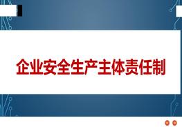 企業(yè)安全生產(chǎn)主體責(zé)任制pptx