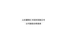 公司級(jí)綜合排查表doc