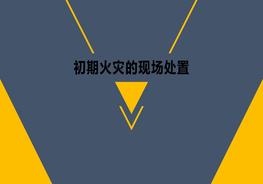 初期火災(zāi)的現(xiàn)場(chǎng)處置pptx