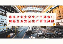 落實企業(yè)安全生產(chǎn)主體責任制專題培訓（102頁）pptx