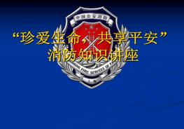 火災(zāi)案例和逃生知識ppt