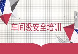 車間級安全培訓(xùn)pptx