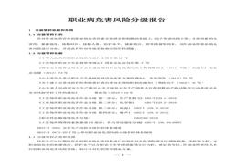 職業(yè)病危害風(fēng)險(xiǎn)分級(jí)報(bào)告doc