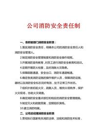 有限責任公司消防安全責任制docx