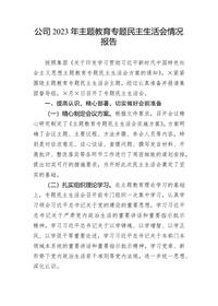 公司2023年主題教育專題民主生活會情況報告docx