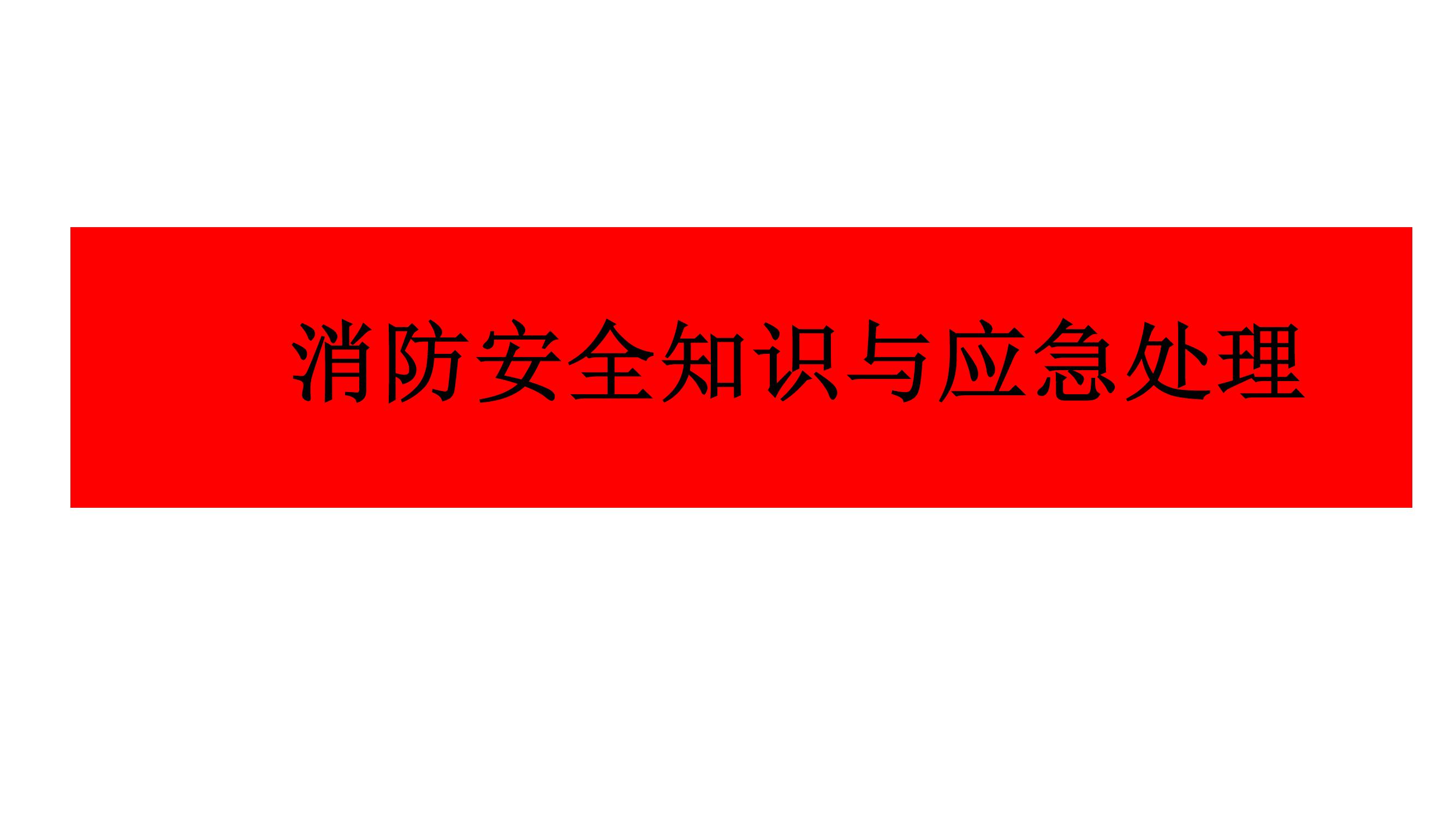 消防安全知識與應(yīng)急處理丨29頁pptx