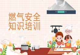 燃?xì)獍踩R(shí)培訓(xùn)pptx