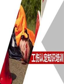 工傷認定知識培訓(xùn)（48頁）pptx